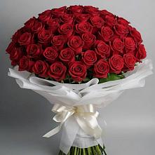 Букет 101 Красная роза Блэк Мэджик #REPLACE_PRED# Заокском