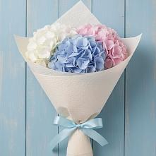 Букет цветов из:  Гортензия в Заокском
