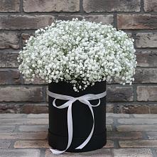Цветочная композиция из Гипсофила в шляпной коробке в Заокском