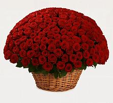 Премиум букет из: Розы #REPLACE_PRED# Заокском