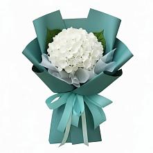 Букет цветов из:  Гортензия в Заокском